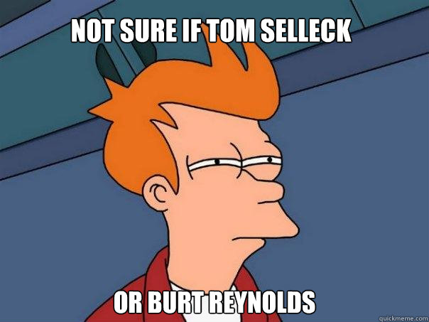 Not sure if Tom Selleck or burt reynolds - Not sure if Tom Selleck or burt reynolds  Futurama Fry