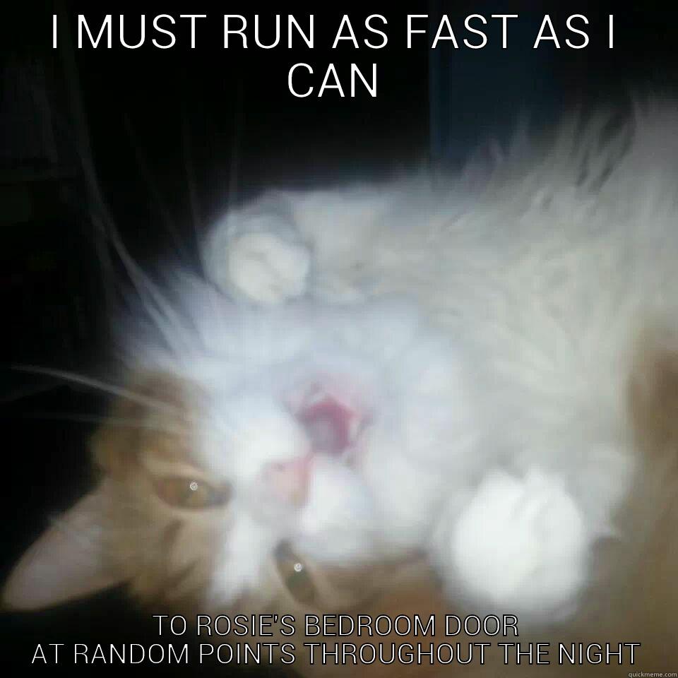 I MUST RUN AS FAST AS I CAN TO ROSIE'S BEDROOM DOOR AT RANDOM POINTS THROUGHOUT THE NIGHT Misc