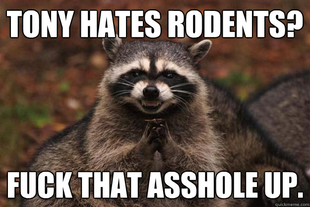 Tony Hates rodents? Fuck that asshole up.  Evil Plotting Raccoon