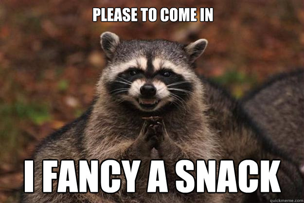 Please to come in I fancy a snack  Evil Plotting Raccoon