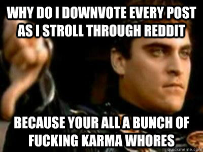 Why do I downvote every post as I stroll through Reddit Because your all a bunch of fucking karma whores  Downvoting Roman