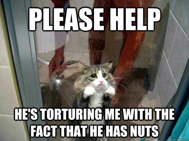 Please help He's torturing me with the fact that he has nuts  Shower kitty