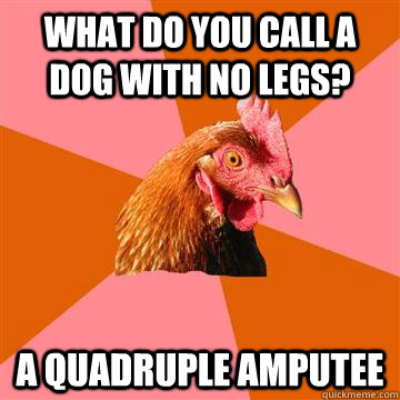 What do you call a dog with no legs? A quadruple amputee  Anti-Joke Chicken
