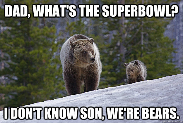 Dad, what's the Superbowl? I don't know son, we're Bears. - Dad, what's the Superbowl? I don't know son, we're Bears.  Chicago Bears