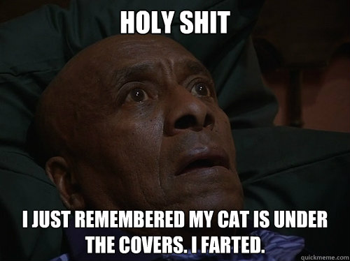 Holy Shit I just remembered my cat is under the covers. i farted.  Bedtime Realizations