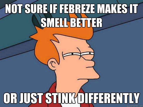 Not sure if Febreze makes it smell better or just stink differently  Futurama Fry