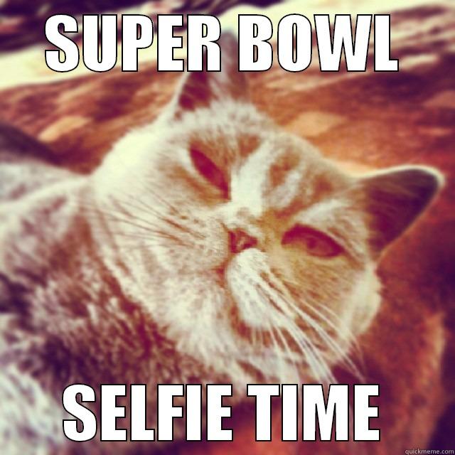 Super Bowl Cat - SUPER BOWL SELFIE TIME Misc
