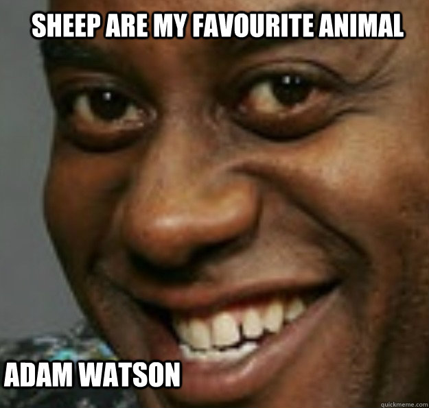 SHEEP ARE MY FAVOURITE ANIMAL ADAM WATSON  Ainsley Harriott