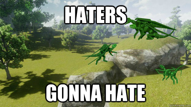 haters gonna hate  Dragon MMO