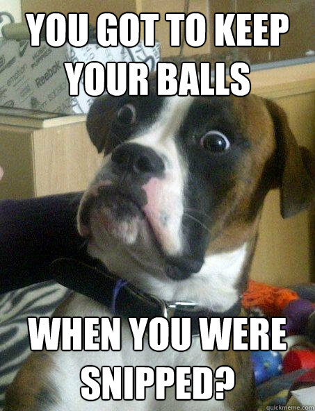 You got to keep your balls when you were snipped?  Baffled boxer