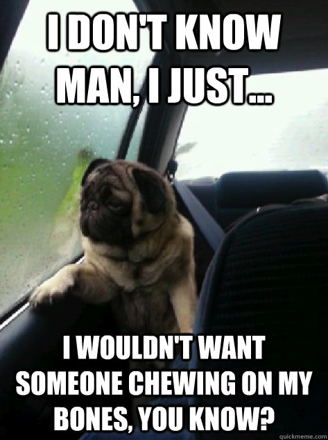 I don't know man, I just... I wouldn't want someone chewing on my bones, You know?  Introspective Pug