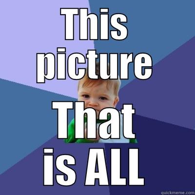 That is all - THIS PICTURE THAT IS ALL Success Kid