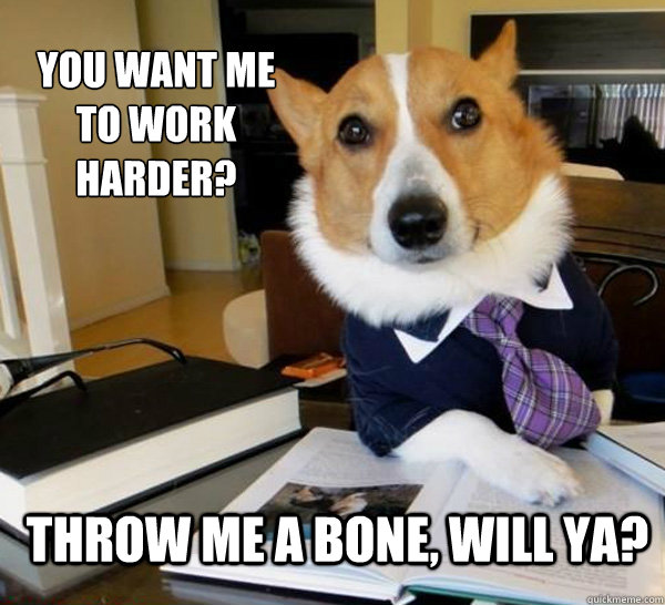 You want me to work harder? Throw me a bone, will ya?  Lawyer Dog