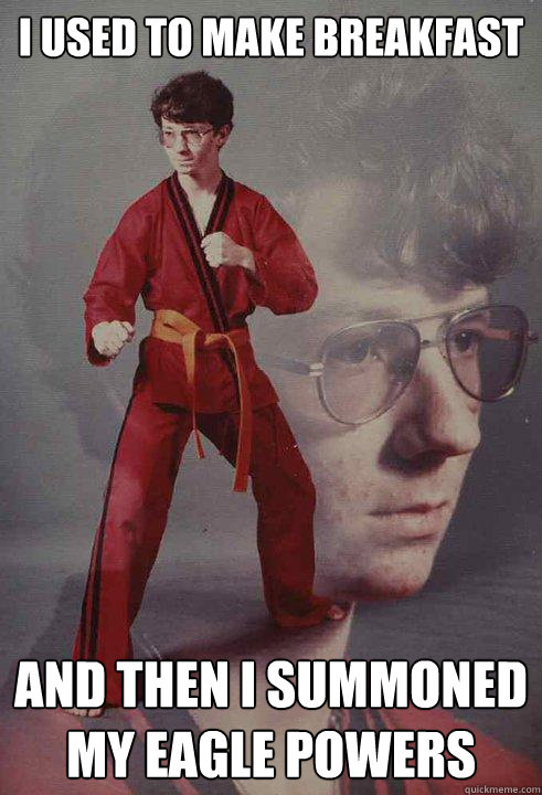 I used to make breakfast And then I summoned my Eagle Powers  Karate Kyle