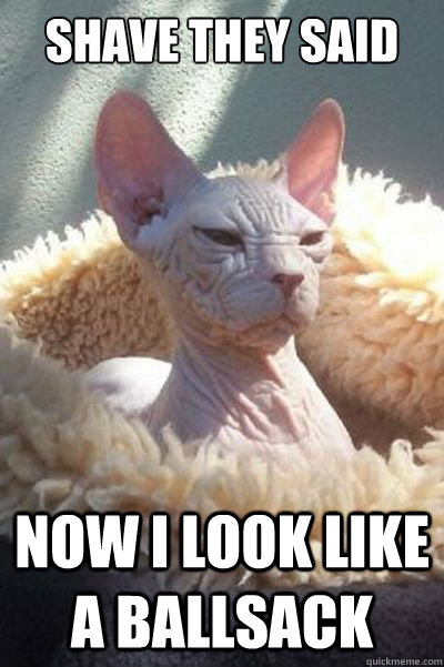 shave they said now i look like a ballsack - shave they said now i look like a ballsack  Misc