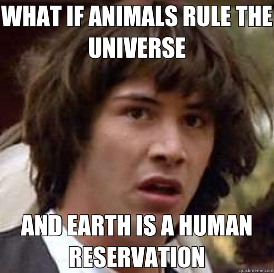 WHAT IF ANIMALS RULE THE UNIVERSE AND EARTH IS A HUMAN RESERVATION - WHAT IF ANIMALS RULE THE UNIVERSE AND EARTH IS A HUMAN RESERVATION  conspiracy keanu