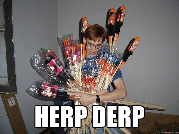  HERP DERP  Crazy Fireworks Nerd