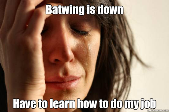 Batwing is down Have to learn how to do my job  First World Problems