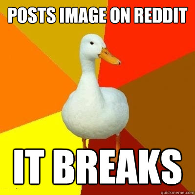 POSTS IMAGE ON REDDIT IT BREAKS  Tech Impaired Duck