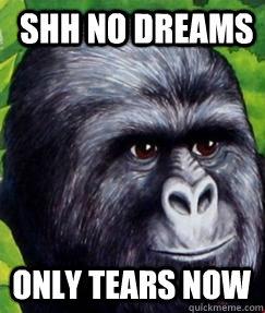 shh no dreams only tears now  gorilla munch