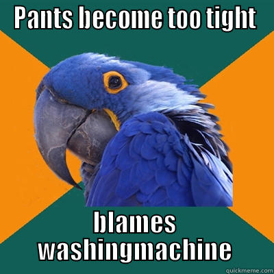 PANTS BECOME TOO TIGHT BLAMES WASHINGMACHINE Paranoid Parrot