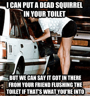 i can put a dead squirrel in your toilet  but we can say it got in there from your friend flushing the toilet if that's what you're into  Karma Whore