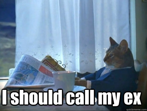  I should call my ex  Rich cat is rich