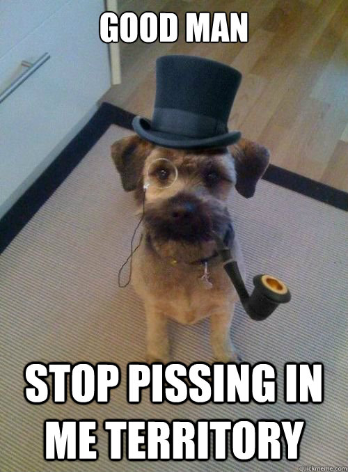 good man stop pissing in me territory   Gentleman Dog