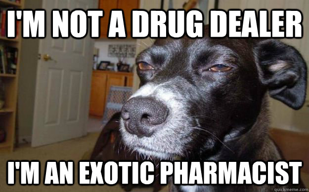 I'm not a drug dealer I'm an Exotic pharmacist  - I'm not a drug dealer I'm an Exotic pharmacist   Skeptical Mutt