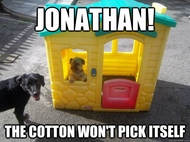 Jonathan! The Cotton Won't Pick Itself  Upper Class White Dog