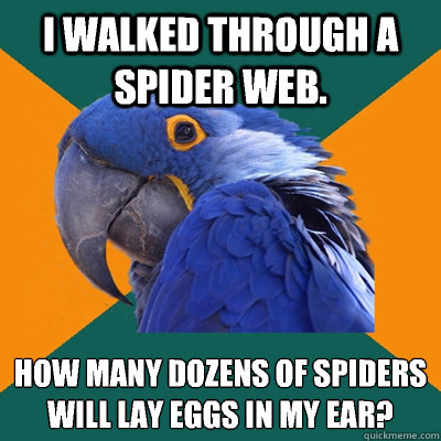 I walked through a spider Web.  How many dozens of spiders will lay eggs in my ear?
  Paranoid Parrot