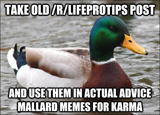 Take old /r/LifeProTips post and use them in Actual Advice Mallard memes for karma  Actual Advice Mallard