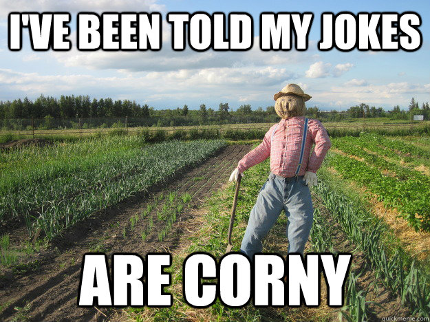 I've been told my jokes are corny  Scarecrow