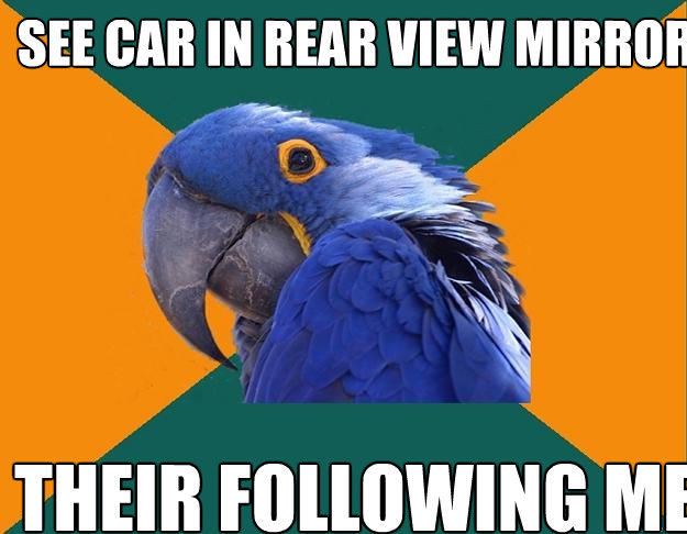 See car in rear view mirror Their following me   Paranoid Parrot