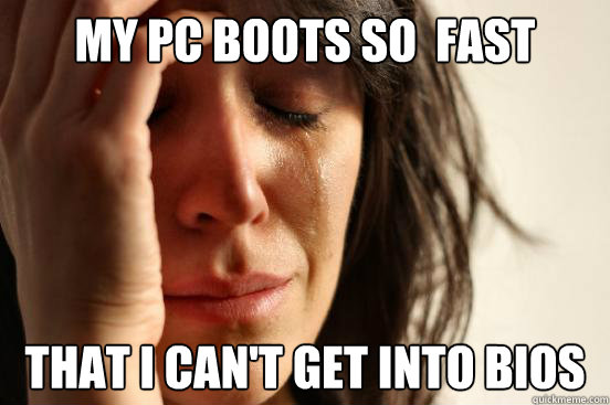 My pc boots so  fast that i can't get into bios  First World Problems