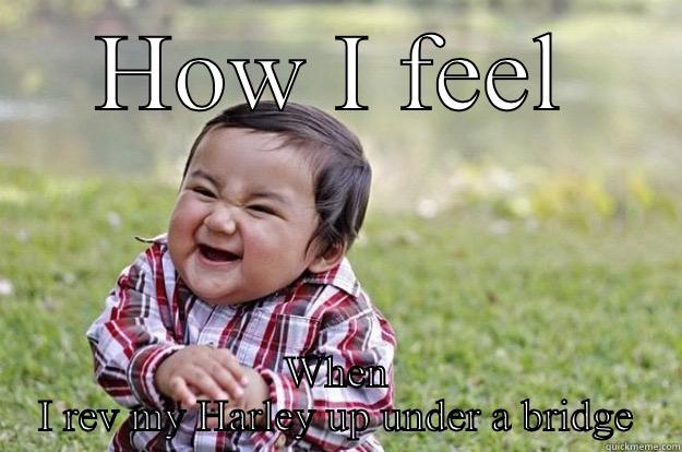HOW I FEEL WHEN I REV MY HARLEY UP UNDER A BRIDGE Evil Toddler
