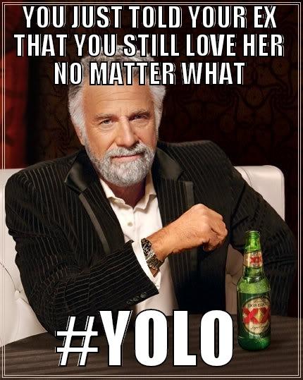 YOU JUST TOLD YOUR EX THAT YOU STILL LOVE HER NO MATTER WHAT #YOLO The Most Interesting Man In The World