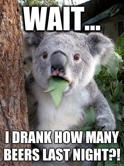 Wait... I drank how many beers last night?!  Surprised Koala