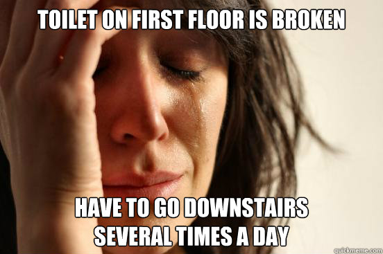 Toilet on first floor is broken Have to go downstairs
several times a day  First World Problems