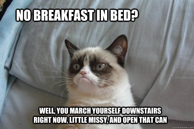 no breakfast in bed? Well, you march yourself downstairs right now, little missy, and open that can  tard grumpy cat