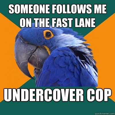 Someone follows me on the fast lane undercover cop  Paranoid Parrot