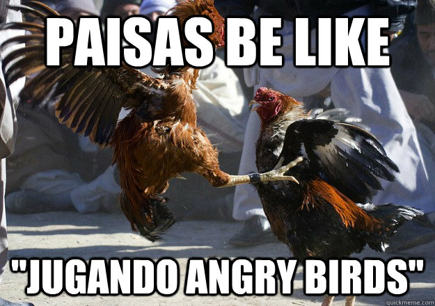 paisas be like 