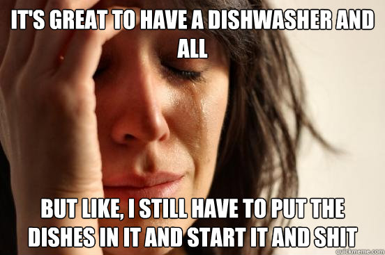 It's great to have a dishwasher and all But like, i still have to put the dishes in it and start it and shit  First World Problems