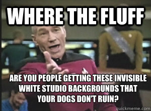 Where the fluff Are you people getting these invisible white studio backgrounds that    your dogs don't ruin?  Annoyed Picard