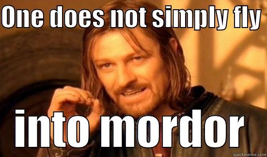 ONE DOES NOT SIMPLY FLY  INTO MORDOR Boromir