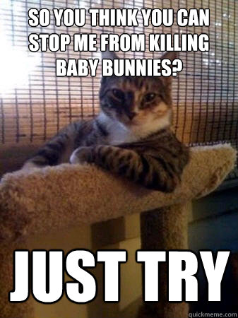 so you think you can stop me from killing baby bunnies? just try  The Most Interesting Cat in the World