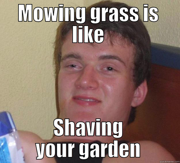 MOWING GRASS IS LIKE SHAVING YOUR GARDEN 10 Guy
