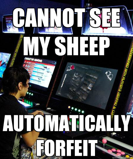 Cannot see my sheep automatically forfeit  