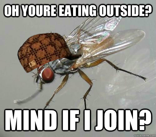 oh youre eating outside? mind if i join?  