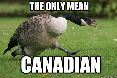 The only mean Canadian - The only mean Canadian  Misc